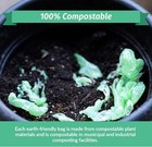 Reli  Compostable 33 Gallon Trash Bags   40 Count 40  pack Of 1   Green 