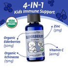 Organic Baby Elderberry Syrup Drops  Vitamin C   Zinc 2oz