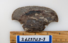 3 5  Stone Ulu Knife Blade - Hunting - Skinning - Ax - Hand Knapped Agate