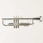 Bach Model 180s43 Stradivarius Professional Bb Trumpet Sn 797359 Superb