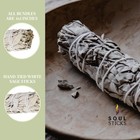 White Sage Smudge Sticks 4 Inch   Organic White Sage Smudging Wands   Bulk