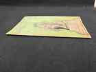 1911 Mason Opera House Theatre Program richard Carle Jumping Jupiter los Angeles