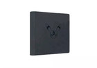 Pokemon Tcg Official Umbreon 480 Slots File Binder From Chinese Eevee Gift Box