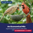 Kaytee Liberty Blend Wild Bird Food  For Cardinals  Blue Jays  Finches   Other O