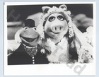 1979  The Muppet Movie Kermit And Ms  Piggy Wedding Press Photo - Ep1e