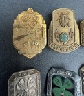 Vtg 4-h Club Pin Lot 1st-5th Year Entomology Clover Sterling Silver 1 20 10k Gf