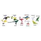 Exotic Birds Toob Mini Figures Safari Ltd New In Stock