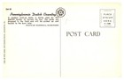 1950s White Horse Intercourse In Pennsylvania Dutch Country Vintage Postcard