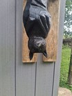 Chainsaw Carved Fruit Bat Wood Carving Statue Sculpture Halloween Creepy Decor