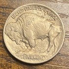 1913-p Type 1 Raised Ground Buffalo Nickel Bu Uncirculated