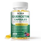Quercetin Ultra Strength 1040mg - Natural Immune Support Plant Based Supplement