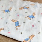Vintage Beatrix Potter Peter Rabbit Frederick Warne Quilt Cotton 1992 Easter