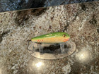 Vintage Donaly Minnow Fishing Lure Antique Tackle Box Bait Jersey Rig Musky Bass