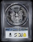 1987 American Silver Eagle  1 Pcgs Ms 69