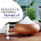 French Lavender Essential Oil 100  Pure Many Sizes Freeship