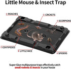 Lulucatch Mouse   Insect Traps 12 Pack  Heavier Sticky Traps With Non-toxic Glue