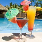 144-pack Cocktail Drink Umbrella Picks  Cupcake Toppers  Luau Parasols Toothpick