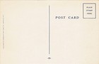 Vintage Linen Postcard Never A Dull Moment Cartoon Comic Asheville Post Card Co