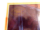 Teenage Mutant Ninja Turtles Mws Inc Original Production Animation Art Framed