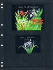 1 3 Off  17 50 Scott Value  - 2008 Montserrat Lilies 2 S s Flowers Cv Mnh Nh Umm