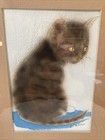 Framed Original Watercolor Brown W amber Eyes Kitten cat Portrait 8 X 10    Vtg