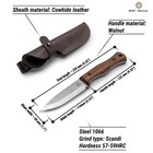 Carbon Steel Bushcraft Knife Walnut Handle With Leather Sheath Beavercraft Bsh6