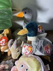 1990   s Beanie Babies   Ty   Vintage   Rare   Mint   Tags Error   Must Go Today