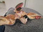 Vintage Ty Beanie Buddies  Swoop Pterodactyl Dinosaur 2001