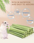 Bissap 35pcs Rabbit Chew Sticks  Natural Papaya Stems Bunny 35 Pcs 