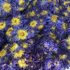 Ceylon Blue Lotus Whole Nymphaea Caerulea Flower Tea Egyptian Herbal Organic