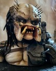 Predator Bust 1 3 Scale Statue Custom Rare Nt Alien Cinemaquette   Sideshow Book