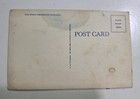 Post Card  Black Americana  The Darkey Preacher