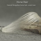 4 4 Pernambuco Cello Bow Beautiful Oxhorn Frog Powerful Open Tone Ship From Usa