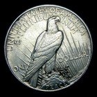 1921 Peace Dollar Silver ----  Stunning Unc Coin ----   375d