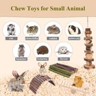 Hamster Guinea Pig Chew Toys Small Animal Enrichment Cage Accessories