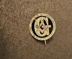 14k Antique 19th Century Blue Enamel Ornate Masonic Pin