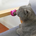 Healthy Cat Snacks Catnip Sugar Candy Licking Nutrition Toy Ball Energy  