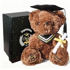 Class Of 2026 Graduation Teddy Bear Gift - Brown Plush Stuffed Browm Graduation