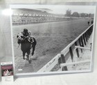 Ron Turcotte Signature Auto Secretariat Horse 20 5x17 jockey Kentucky Derby Jsa
