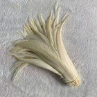 50pcs Rooster Tail Feather Plumes 25-45cmdiy Dyed Cock Tail Clothing Accessories