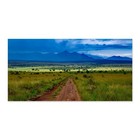 Safari Landscape Canvas Print Wall Art 60x30 Unframed Wildlife Photo Home Decor