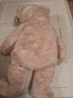 Ty Beanie Baby Buddy  celebrate  The Bear