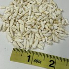 Lot Of 250 Assorted Small Coyote Teeth Real Cleaned Taxidermy Weird Goth  4037