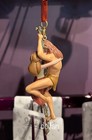 2024 Disney Parks Tarzan Jane 25th Anniversary Sketchbook Christmas Ornament New