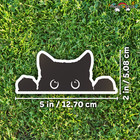 5 w  X  2 h Peeking Black Cat Decal  Funny Sticker For Car  Laptop  Window