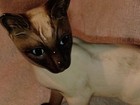 Ceramic Vintage Siamese Cat Made In England Beswick Kitty Figurine