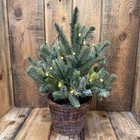 Pottery Barn Faux Lit Blue Spruce Tree In Basket Sm 18  Holiday Christmas