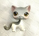 Littlest Pet Shop Lps Authentic Shorthair Cat  138 Grey White Cat W Accessories