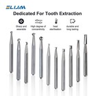 10pcs box Dental Carbide Burs For High Speed Handpiece Round Cone Bur Diamond Fg