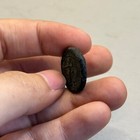 Ancient Central Asian Kushan Empire Buddha Bronze Coin